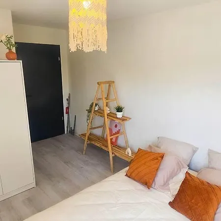 2 Pieces Proche Hopital De Hautepierre Appartement
